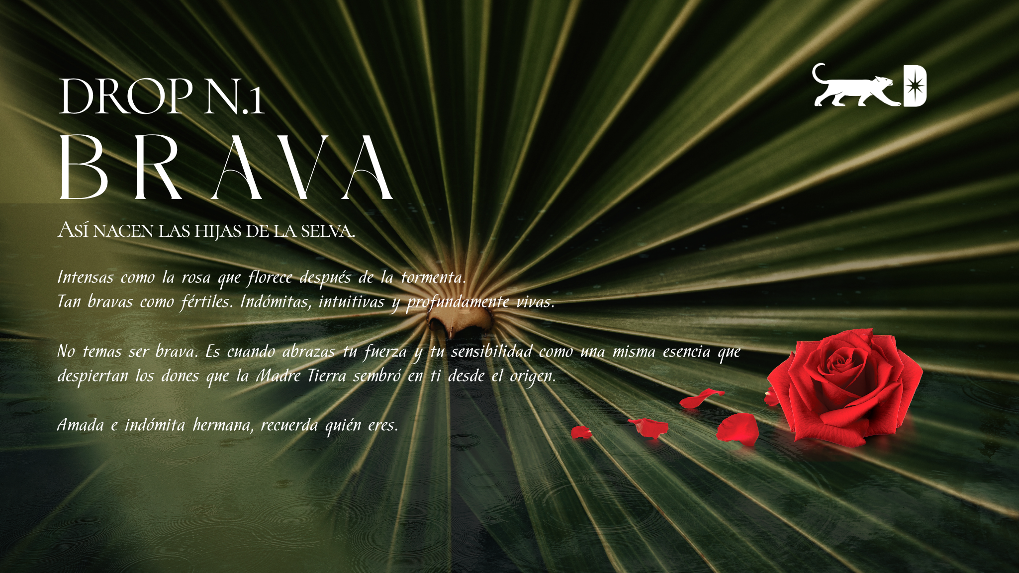 DROP 01: BRAVA